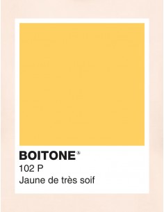 BOITONE 102 veste unisexe 2