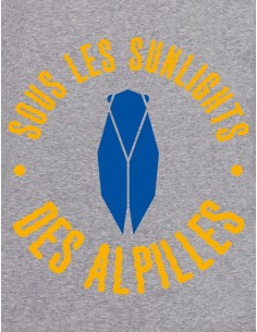 LES SUNLIGHTS DES ALPILLES... 2