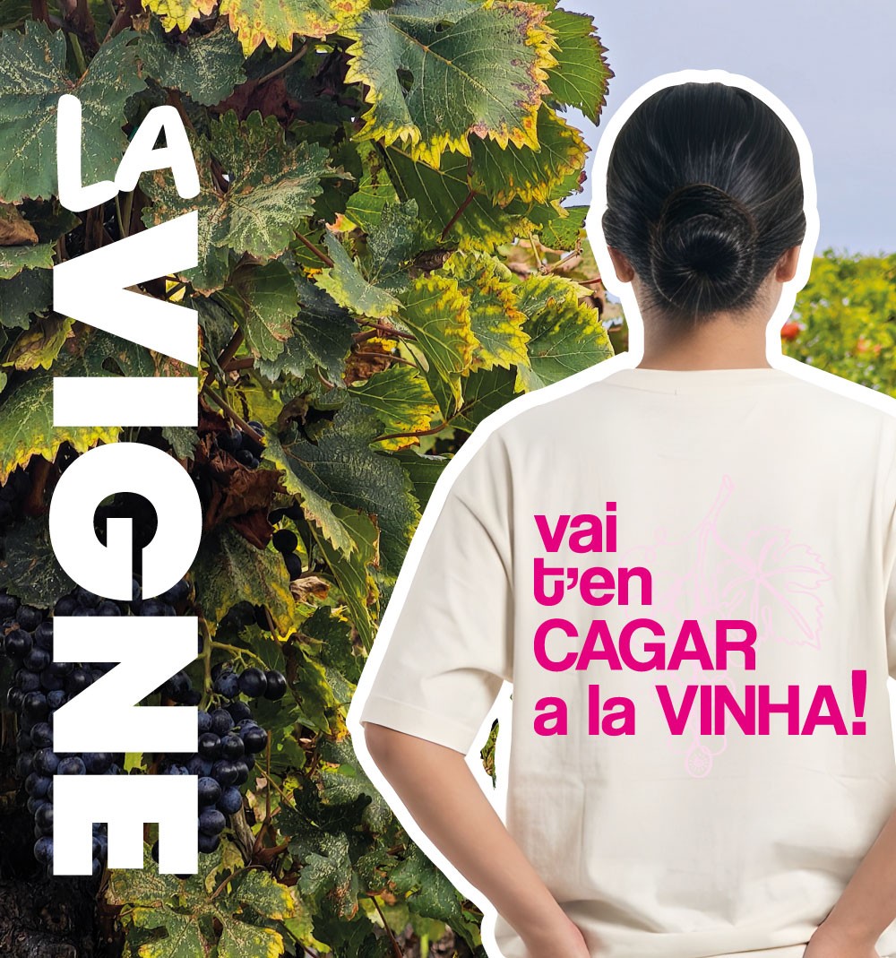 « Vai t'en cagar a la vinha » : sens de l'expression occitane | Avyzo, Le sud à porter